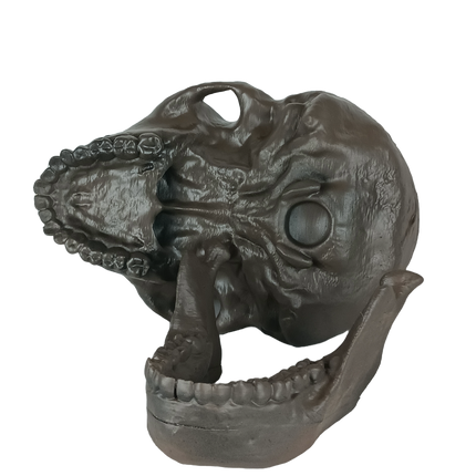 Homo naledi