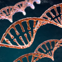 Collection image for: Sciences de la vie