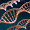 Sciences de la vie