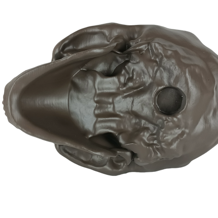 Homo erectus