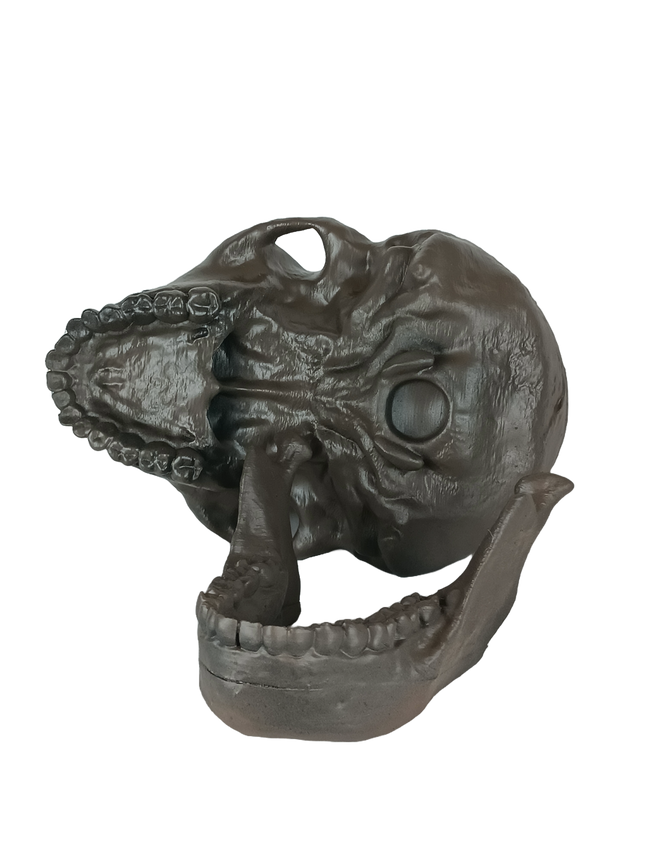 Homo naledi