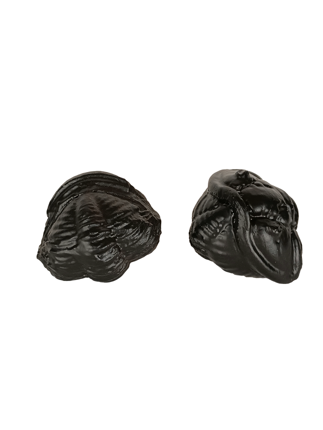 Coffret de 2 trilobites – répliques scannées (5–6 cm)