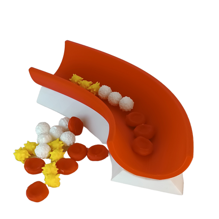 Modèle pédagogique du sang – coupe de veine + érythrocytes, leucocytes et plaquettes activées